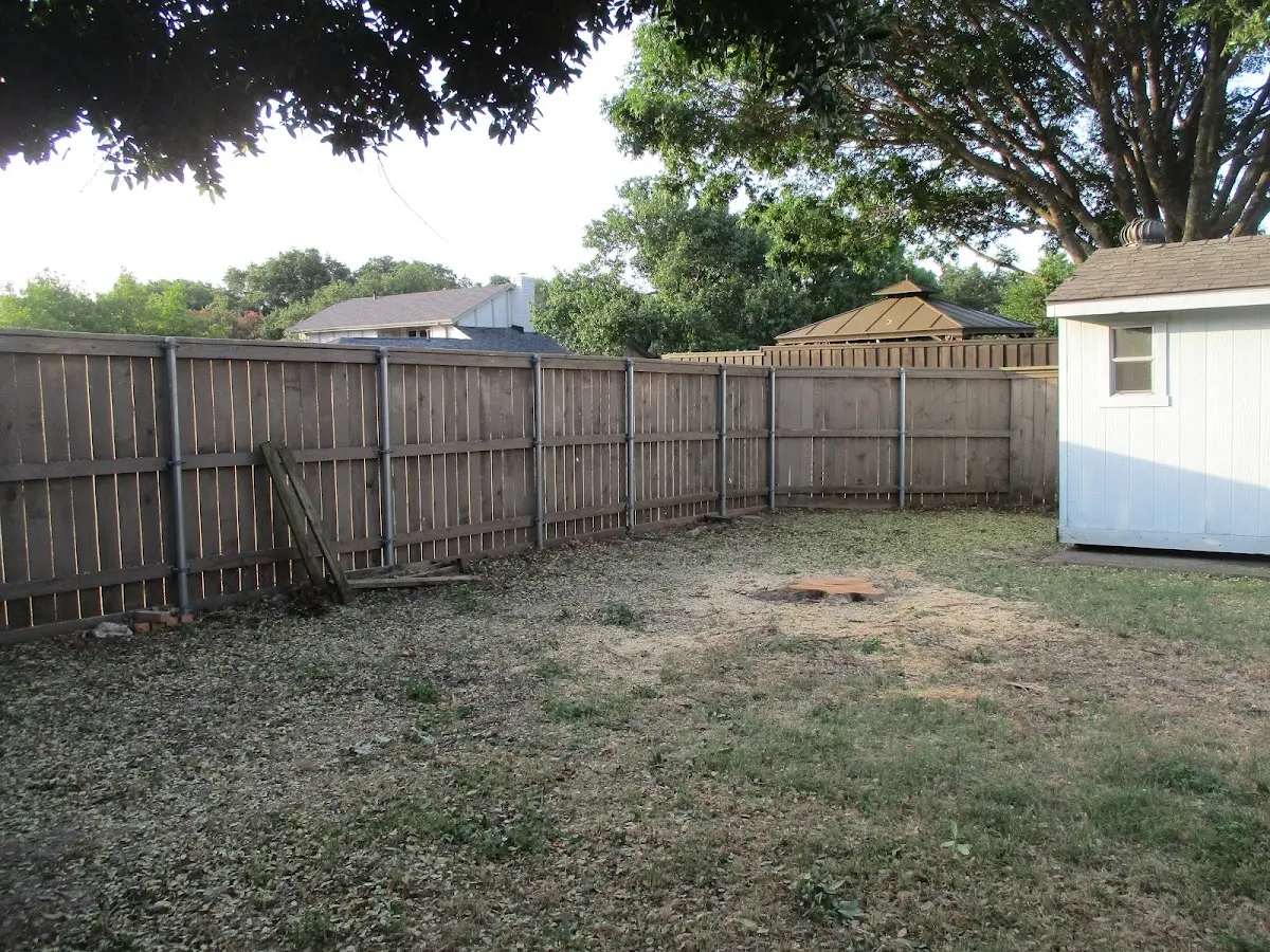 Cleared yard after professional tree removal in Parksville