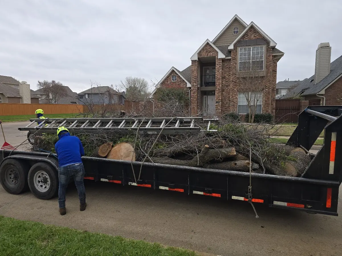 Expert Tree Removal with proper safety equipment in Parksville